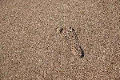 节奏音游《节奏萌芽》2月1日全平台发售